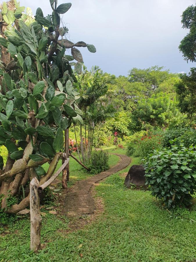 El Encanto Garden Hotel Santa Cruz Εξωτερικό φωτογραφία